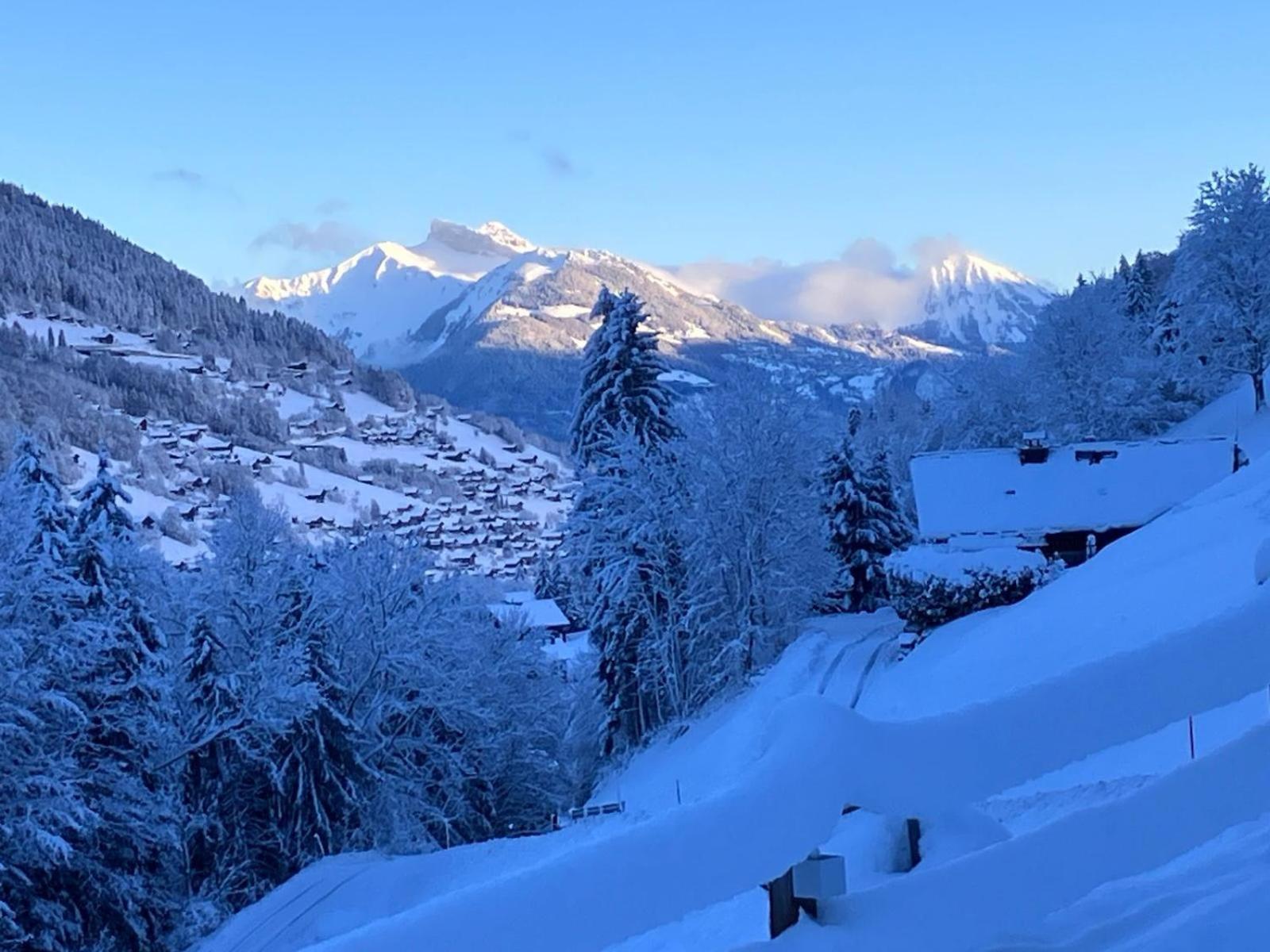 Studio Cosy Escape Val dʼIlliez 외부 사진